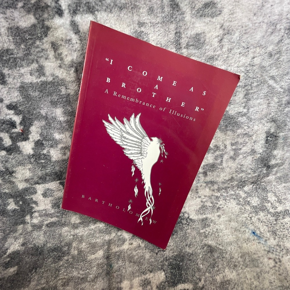 I Come As a Brother High Mesa Press Bartholomew‎ Spiritual Book New Age